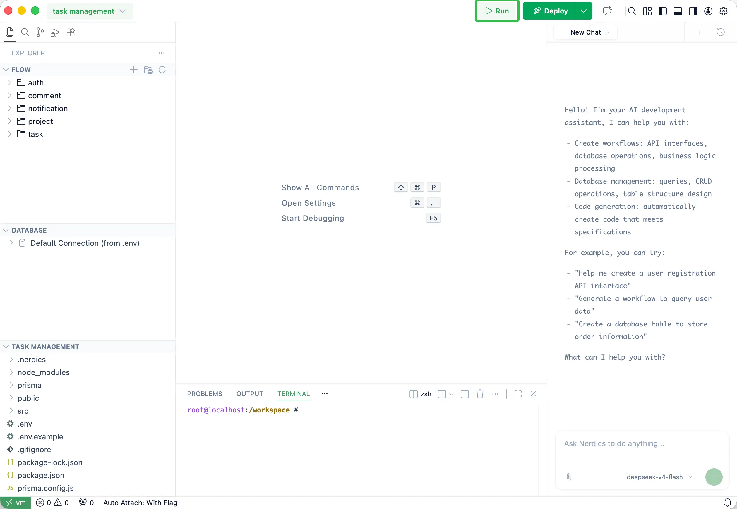 Nerdics debug controls before running a project